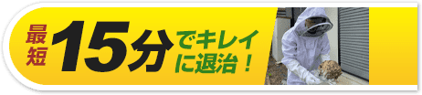 最短15分でキレイに退治