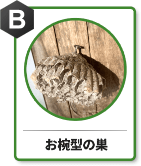 B お椀型の巣