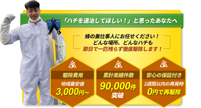 どんなハチも即日で一匹残らず徹底駆除します！